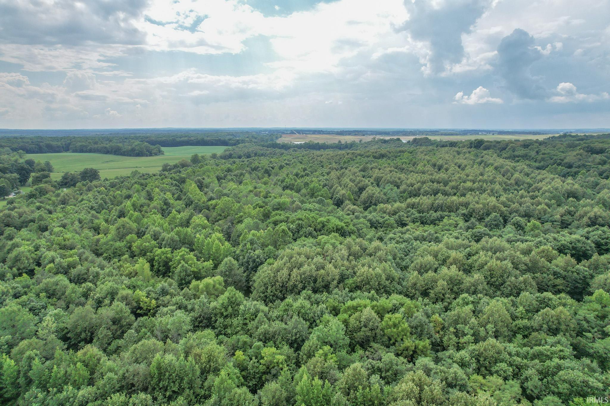 3542 Doerner Road Lynnville, IN 47619 - Photo 4 of 5