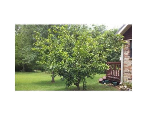 12786 Indian Springs Road Picayune, MS 39466 - Photo 15 of 16 Additional Photo