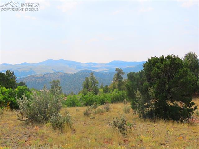 493 Cheyenne Road Florissant, CO 80816 - Photo 24 of 24 Gallery Image 24