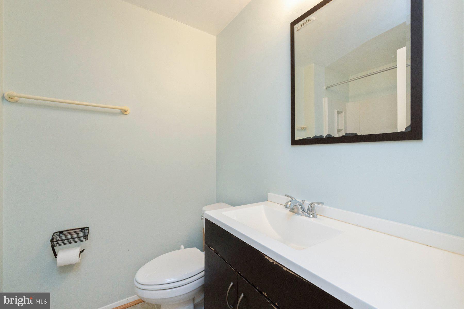 39 Triple Crown Court Gaithersburg, MD 20878 - Photo 16 of 26 a bathroom with a sink vanity mirror and toilet