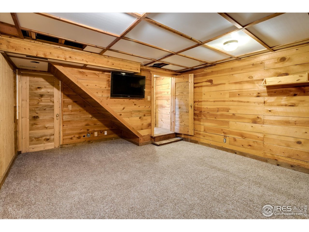 234 Kiowa Road Lyons, CO 80540 - Photo 20 of 39 Basement, non conforming bedroom