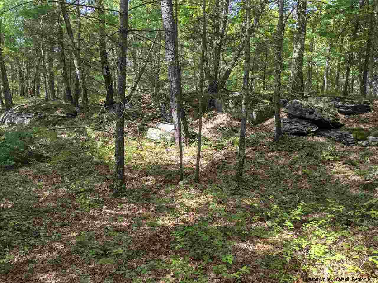 Tbd Lapla Road Kingston, NY 12401 - Photo 2 of 5 Photo 2