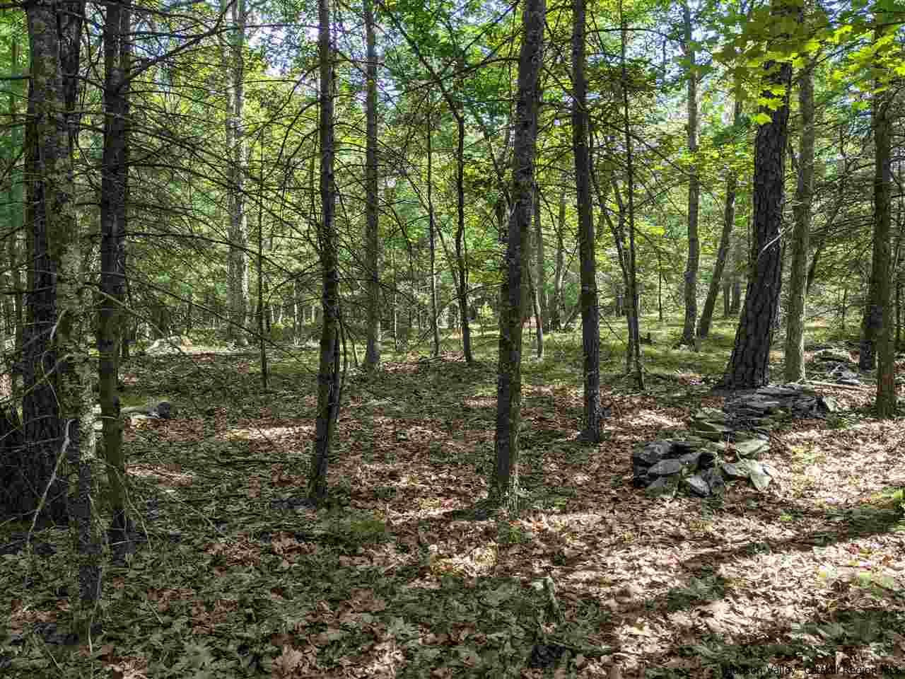 Tbd Lapla Road Kingston, NY 12401 - Photo 3 of 5 Photo 3
