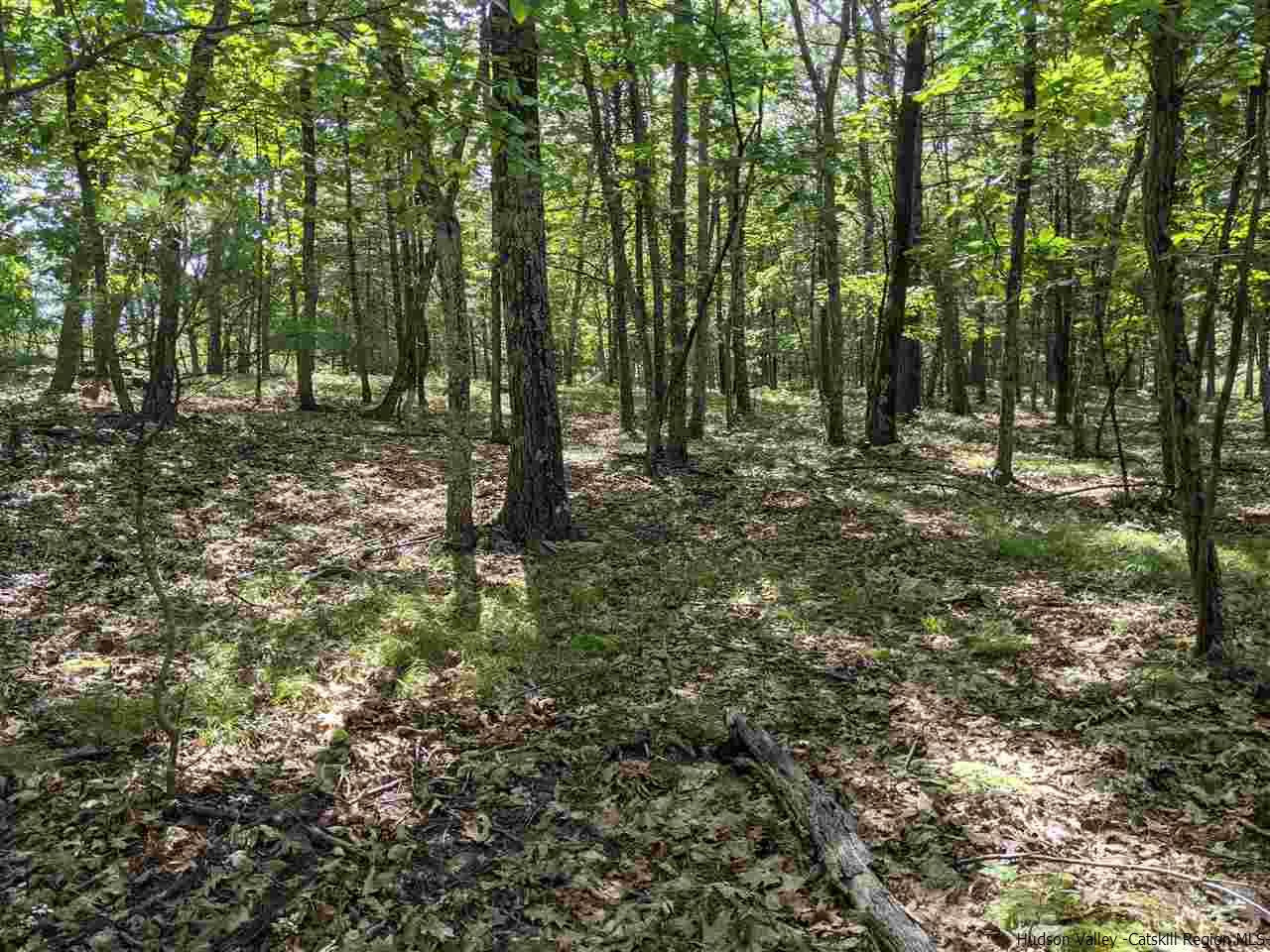 Tbd Lapla Road Kingston, NY 12401 - Photo 4 of 5 Photo 4