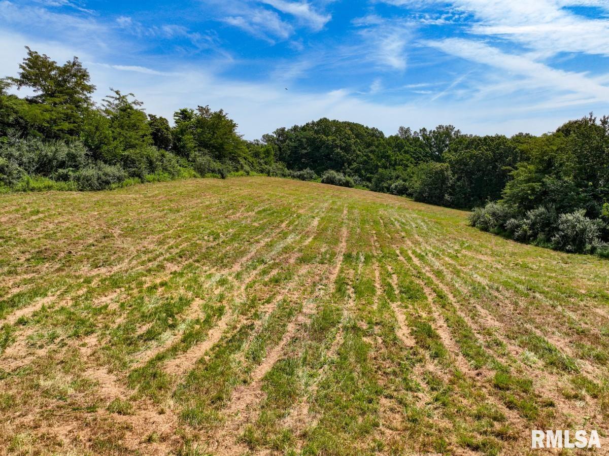 0 Robinson Hill Road Makanda, IL 62958 - Photo 13 of 29
