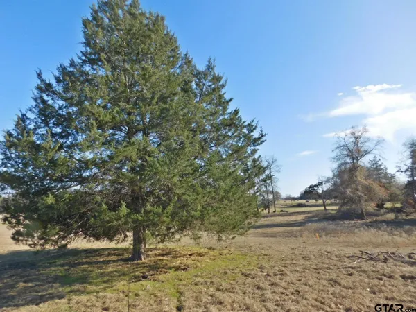 a view of dirt field with trees in background