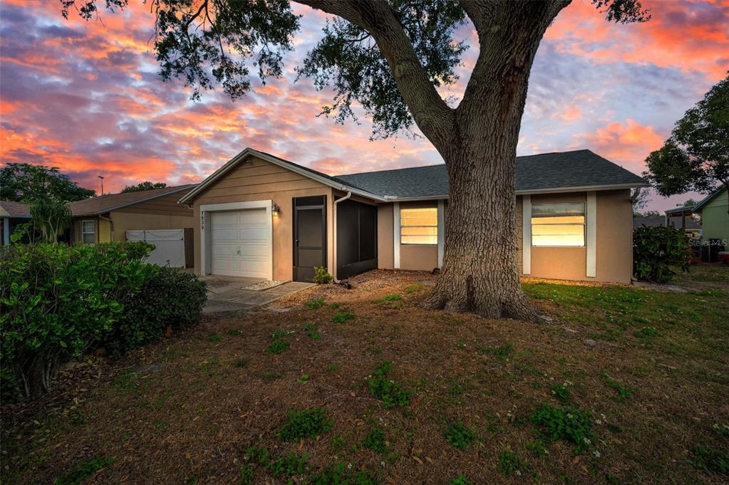 a view of a house with a tree in the yard