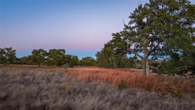 a view of a field of grass and trees