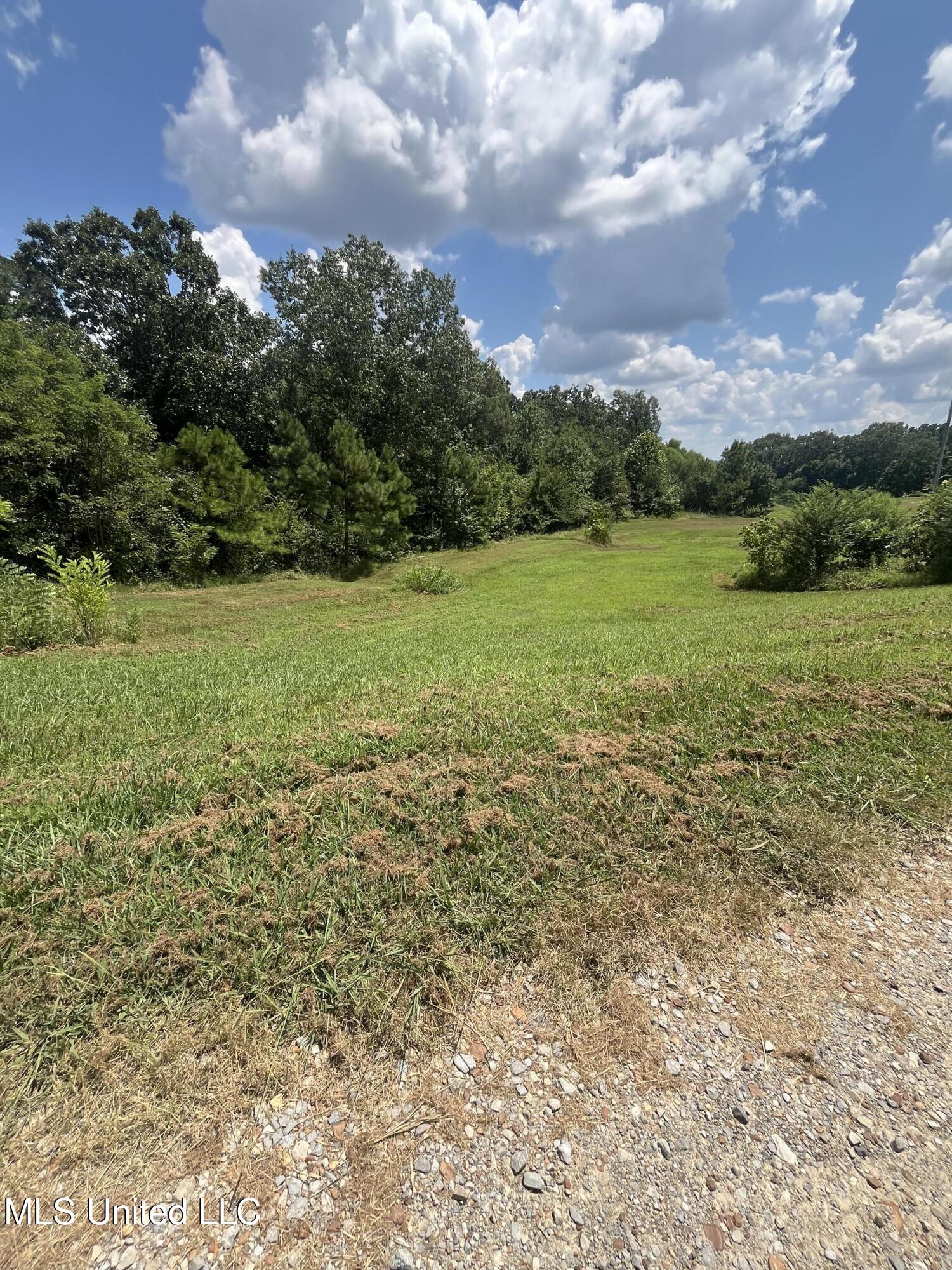 7635 Bethel Road Olive Branch, MS 38654 - Photo 3 of 4 IMG-6944