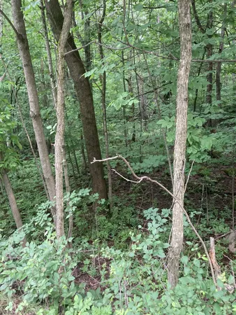 $28,000 | 0 Riley Road, Malone, NY 12953
