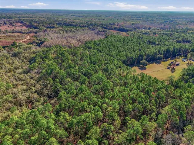 a view of a yard with plants