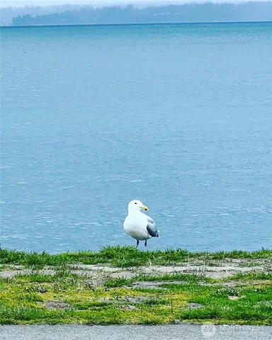 $700,000 | 3647 Trails End Road Northwest, Bremerton, WA 98312