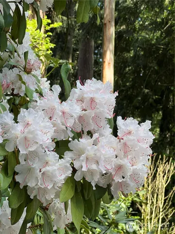 $700,000 | 3647 Trails End Road Northwest, Bremerton, WA 98312