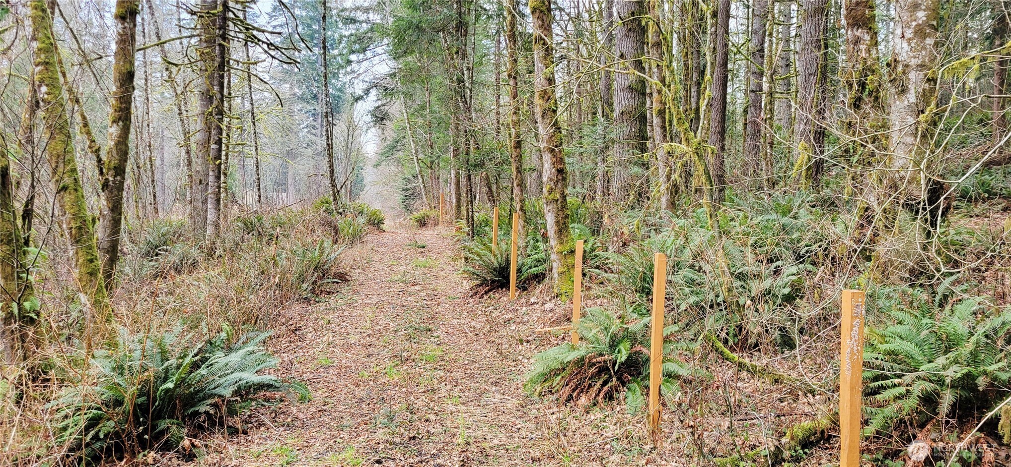 7836 Delphi Road Southwest Olympia, WA 98512 - Photo 13 of 14