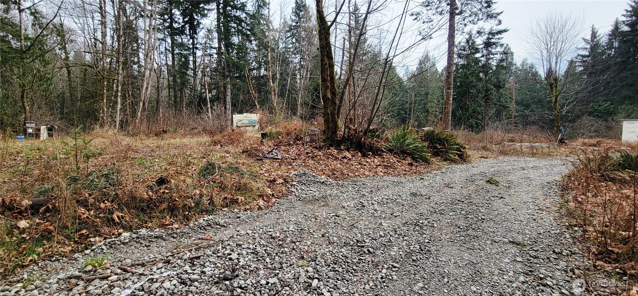 7836 Delphi Road Southwest Olympia, WA 98512 - Photo 6 of 14