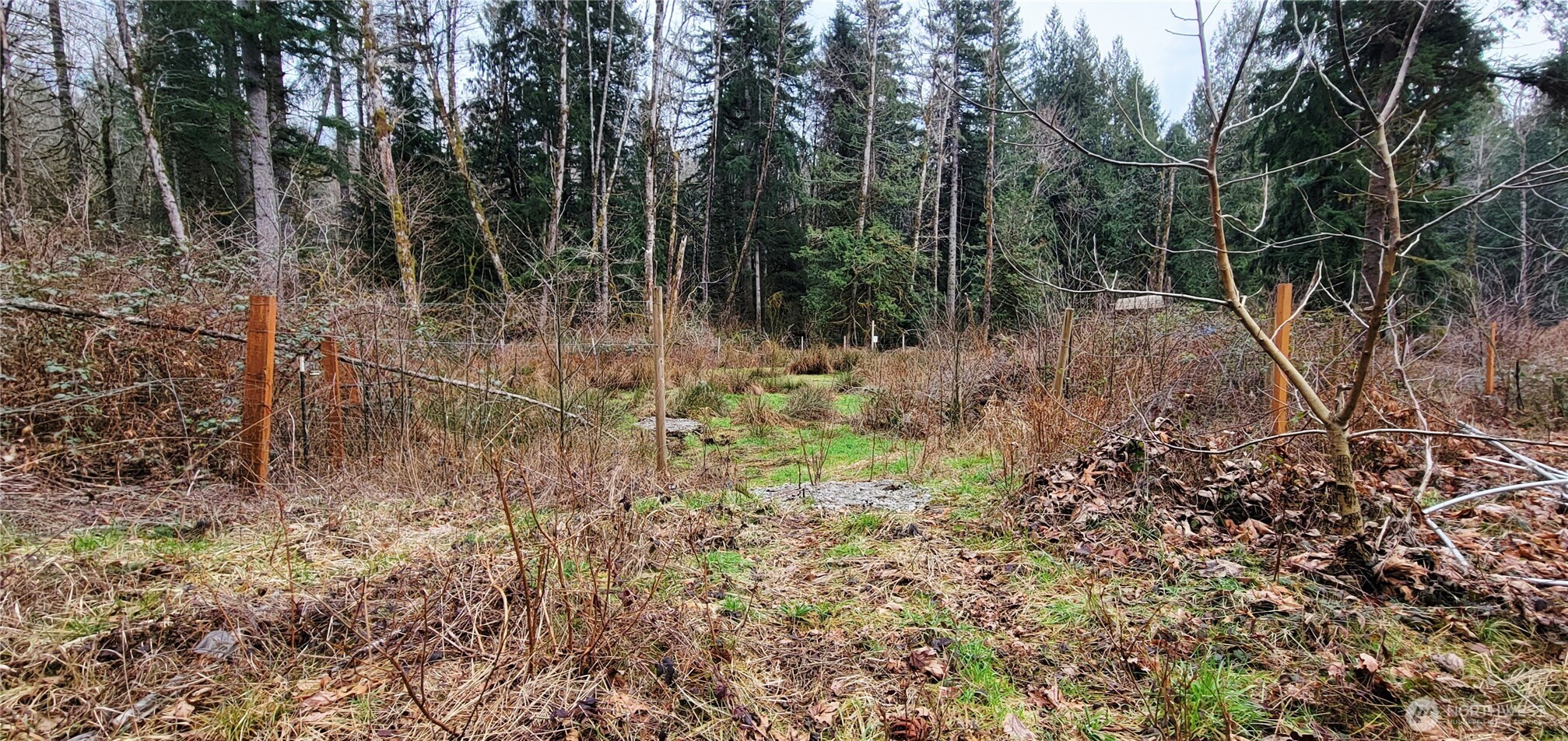 7836 Delphi Road Southwest Olympia, WA 98512 - Photo 7 of 14