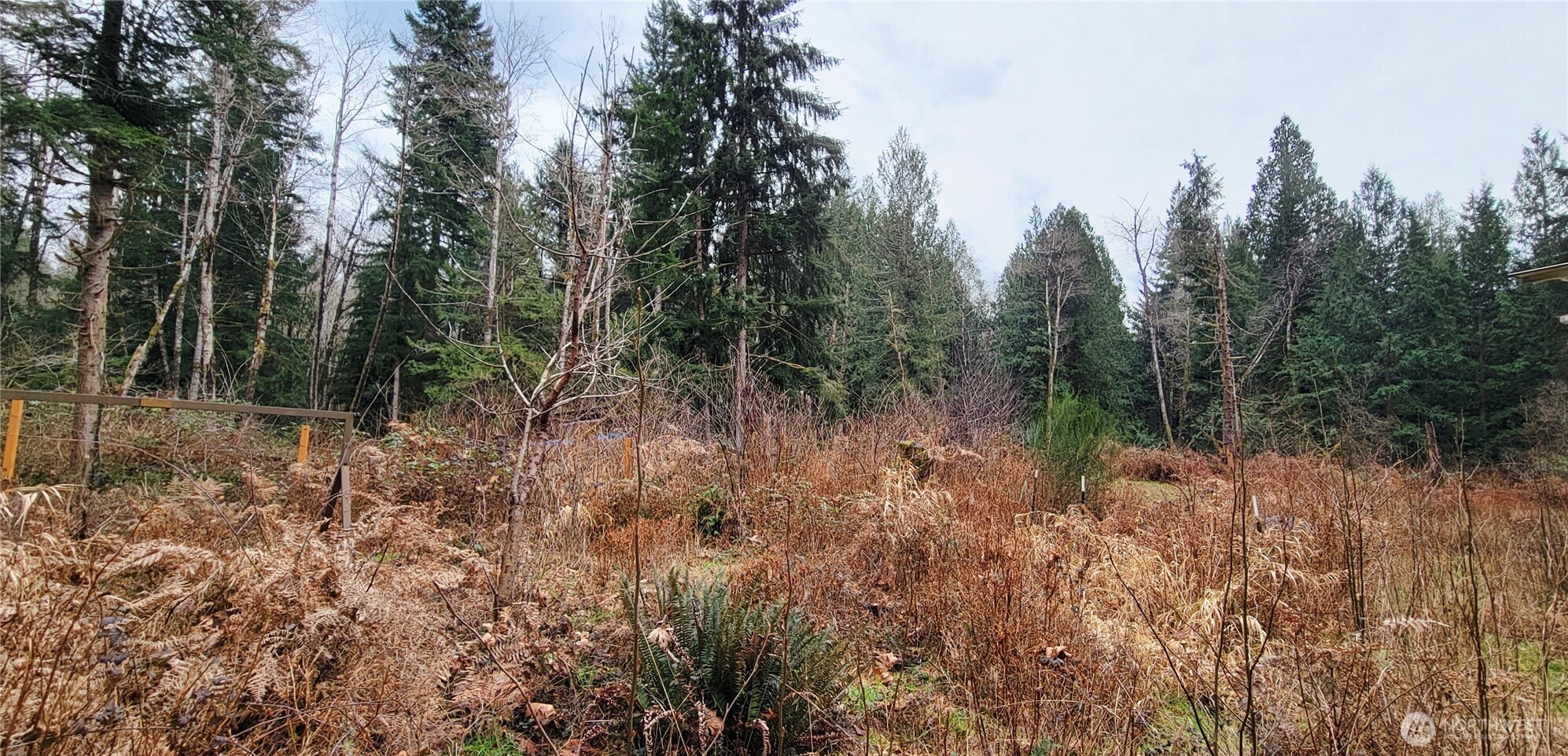 7836 Delphi Road Southwest Olympia, WA 98512 - Photo 9 of 14