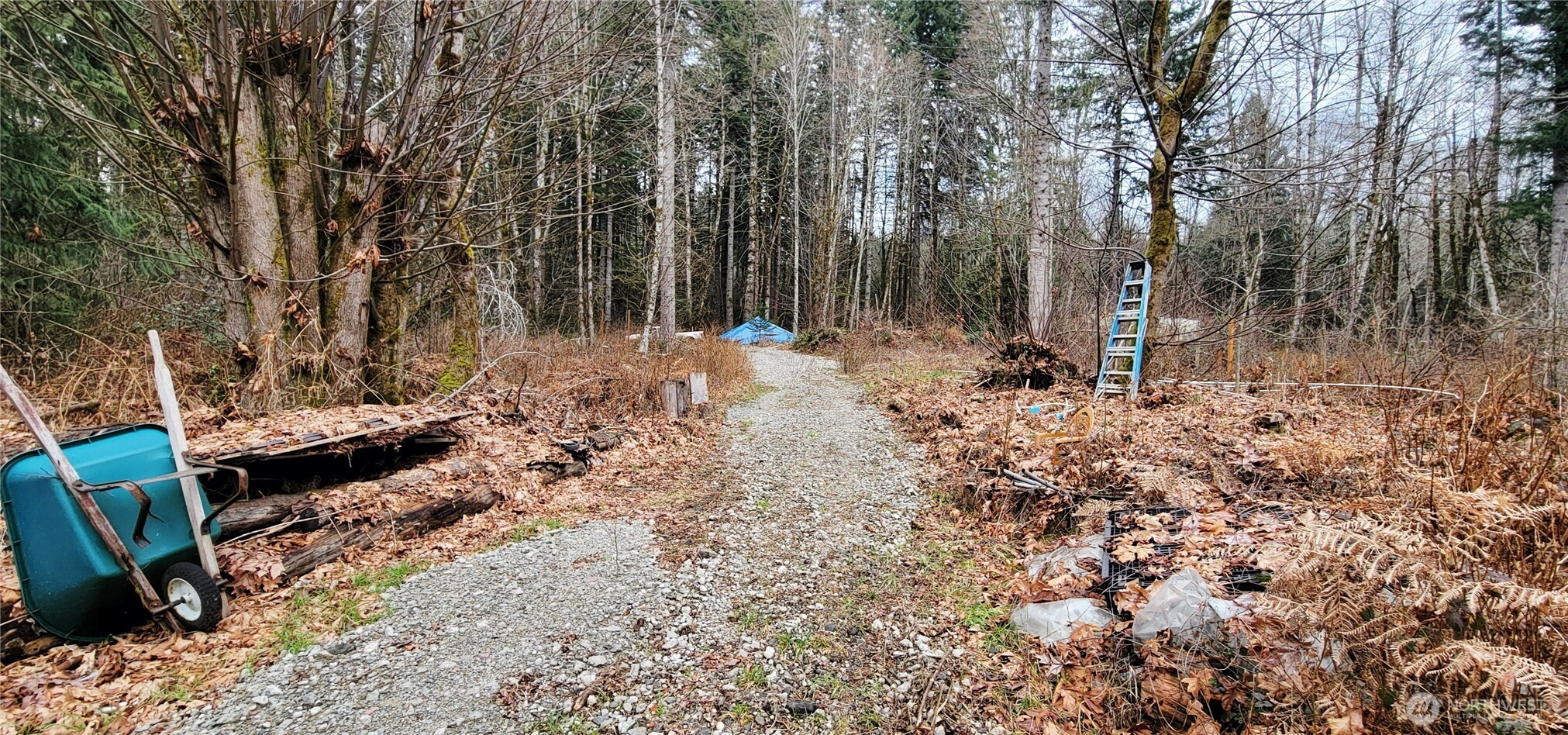 7836 Delphi Road Southwest Olympia, WA 98512 - Photo 10 of 14