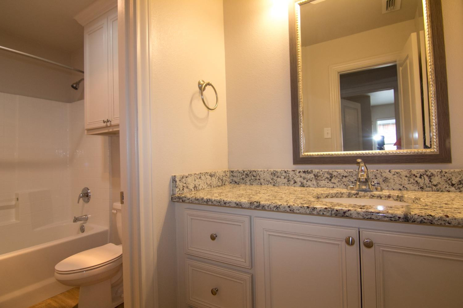 3821 133rd Street Lubbock, TX 79423 - Photo 7 of 15 a bathroom with a granite countertop sink toilet and shower