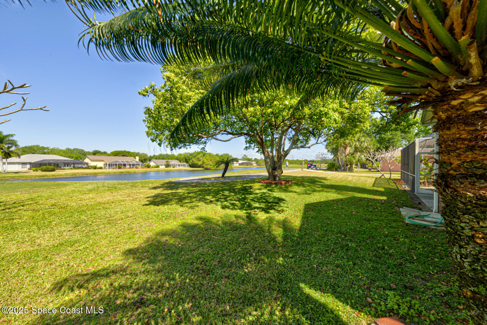 4065 Sand Ridge Drive Merritt Island, FL 32953 - Photo 45 of 59 a view of yard with swimming pool and green space