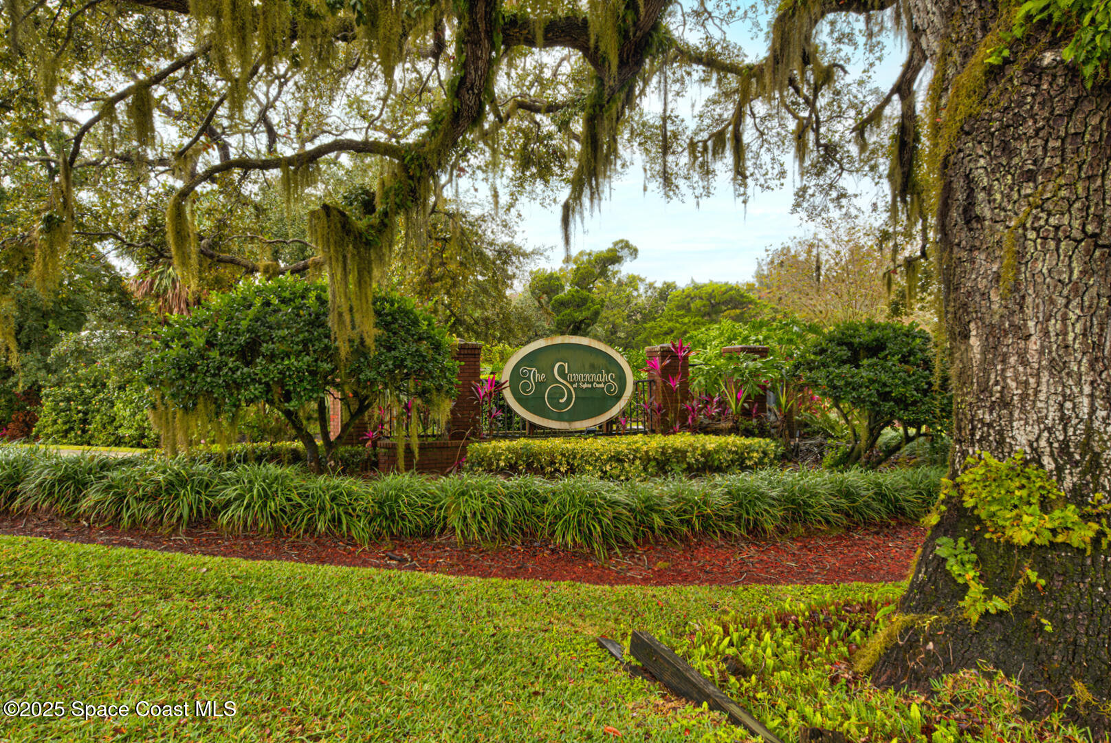 4065 Sand Ridge Drive Merritt Island, FL 32953 - Photo 51 of 59 a view of a yard with plants and a large tree