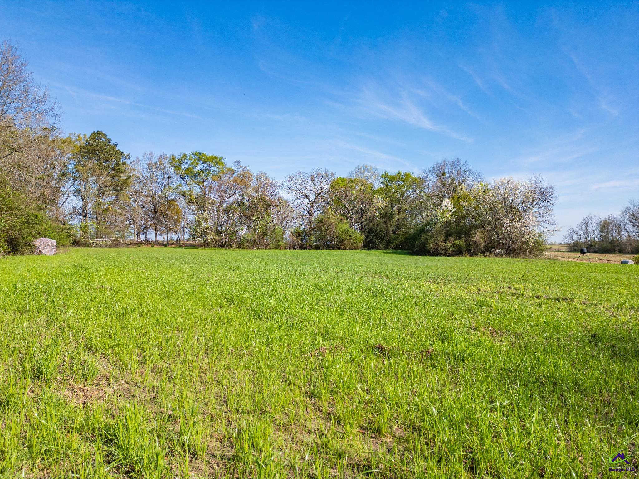 2594 Elko Road Elko, GA 31025 - Photo 13 of 15