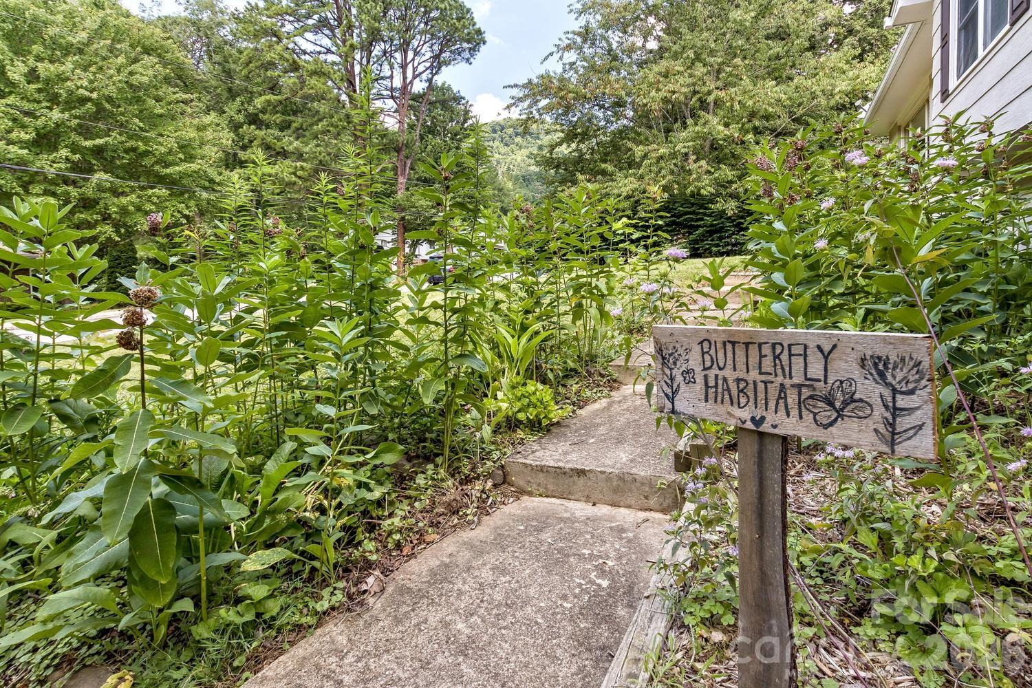 17 Rhododendron Place Asheville, NC 28805 - Photo 3 of 36
