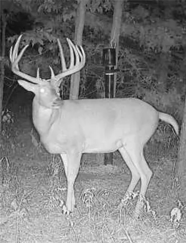 $345,000 | 0 West 239th Street, Edgerton, KS 66021