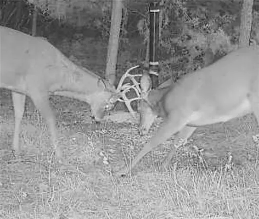 $329,999 | 0 West 239th Street, Edgerton, KS 66021