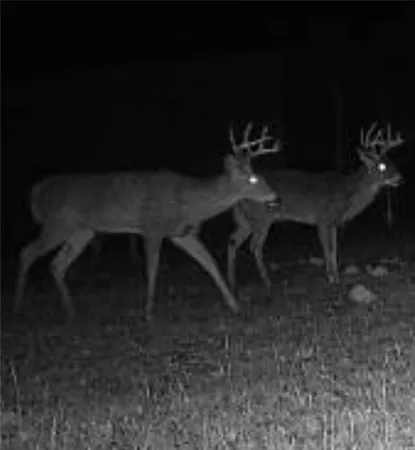 $329,999 | 0 West 239th Street, Edgerton, KS 66021