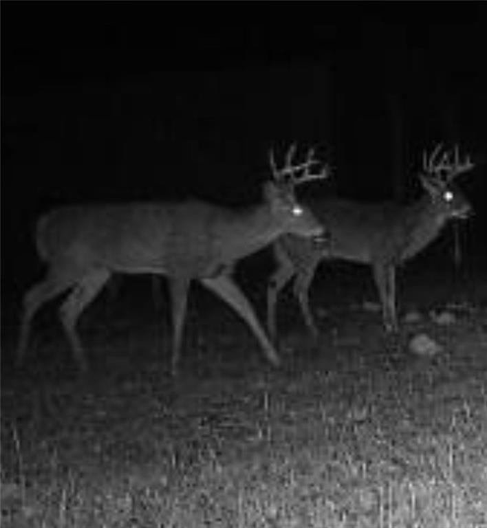 0 West 239th Street Edgerton, KS 66021 - Photo 13 of 39