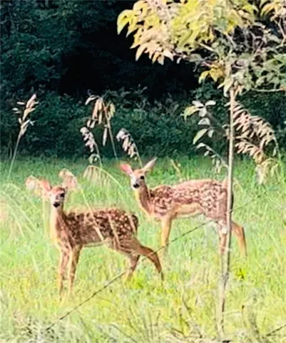 $345,000 | 0 West 239th Street, Edgerton, KS 66021