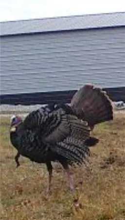 $329,999 | 0 West 239th Street, Edgerton, KS 66021