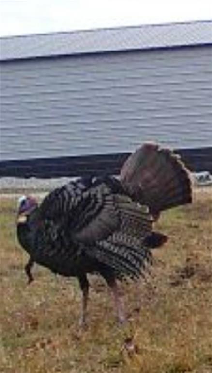 0 West 239th Street Edgerton, KS 66021 - Photo 15 of 39