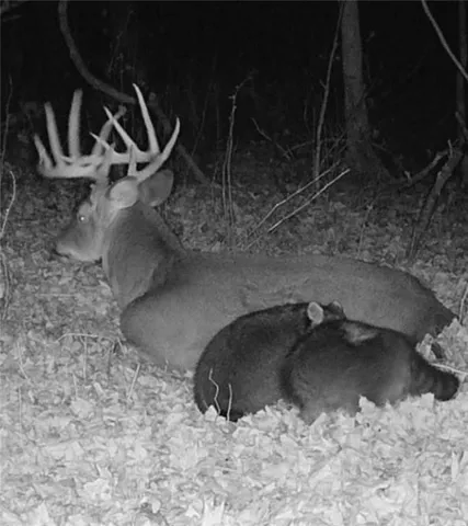 $345,000 | 0 West 239th Street, Edgerton, KS 66021