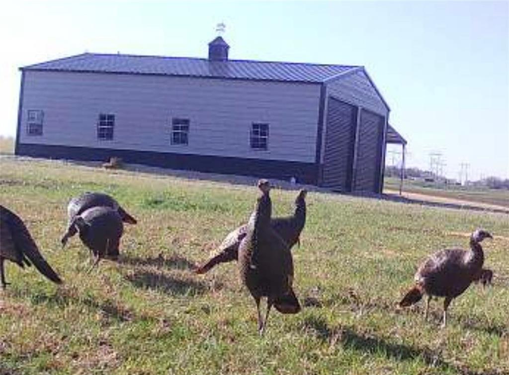 0 West 239th Street Edgerton, KS 66021 - Photo 8 of 39