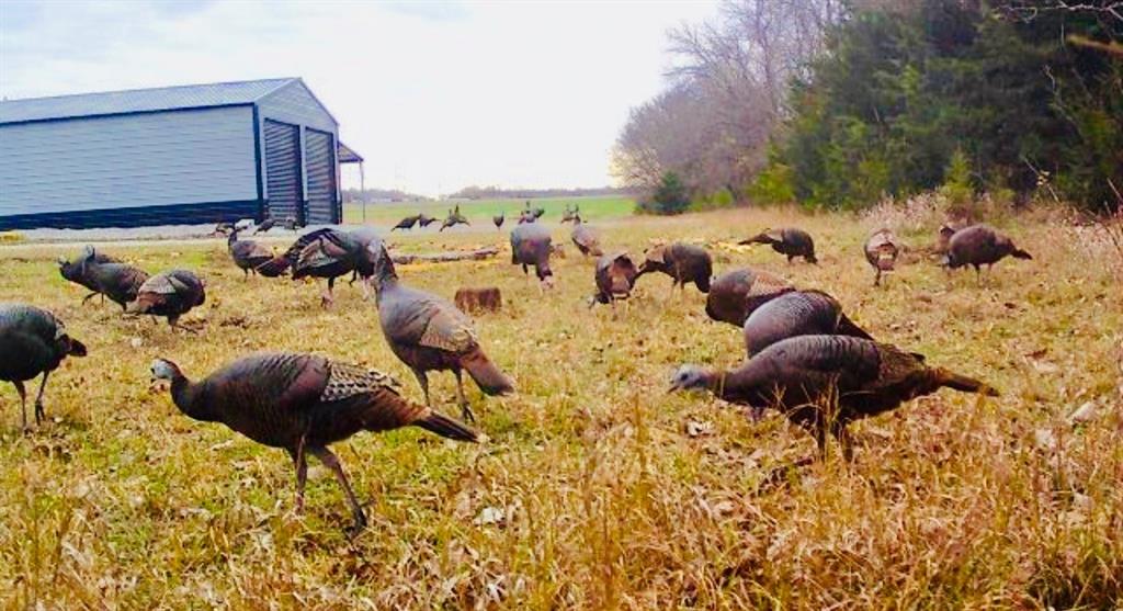 0 West 239th Street Edgerton, KS 66021 - Photo 9 of 39