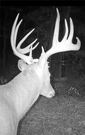 $329,999 | 0 West 239th Street, Edgerton, KS 66021