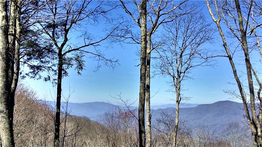 203 Stemwinder Road, Unit 203 Sylva, NC 28779 - Photo 1 of 4