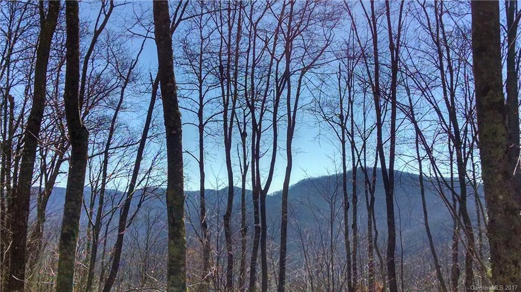 203 Stemwinder Road, Unit 203 Sylva, NC 28779 - Photo 3 of 4