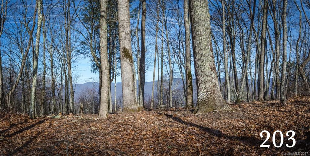 203 Stemwinder Road, Unit 203 Sylva, NC 28779 - Photo 4 of 4