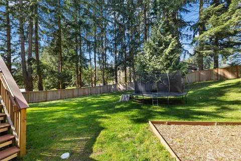 a view of a backyard with large trees