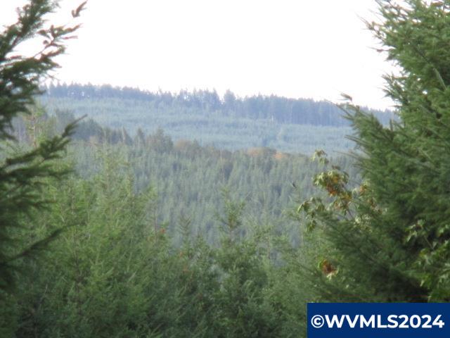 0 Northwest Crane (3) Road Yamhill, OR 97148 - Photo 14 of 14