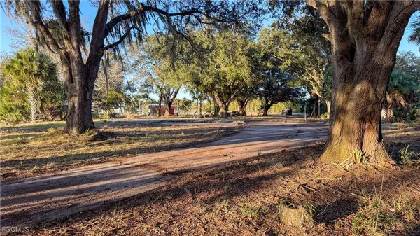 a view of yard with tree