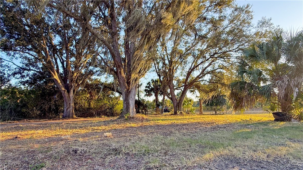 1053 Rightside Road Moore Haven, FL 33471 - Photo 6 of 9 a view of swimming pool with large trees