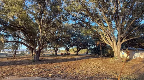 a view of road with trees