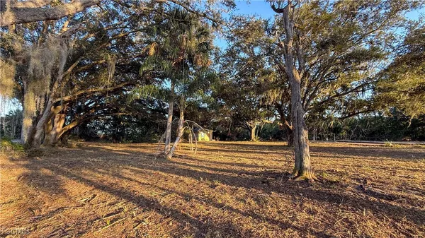 a view of a yard with large trees