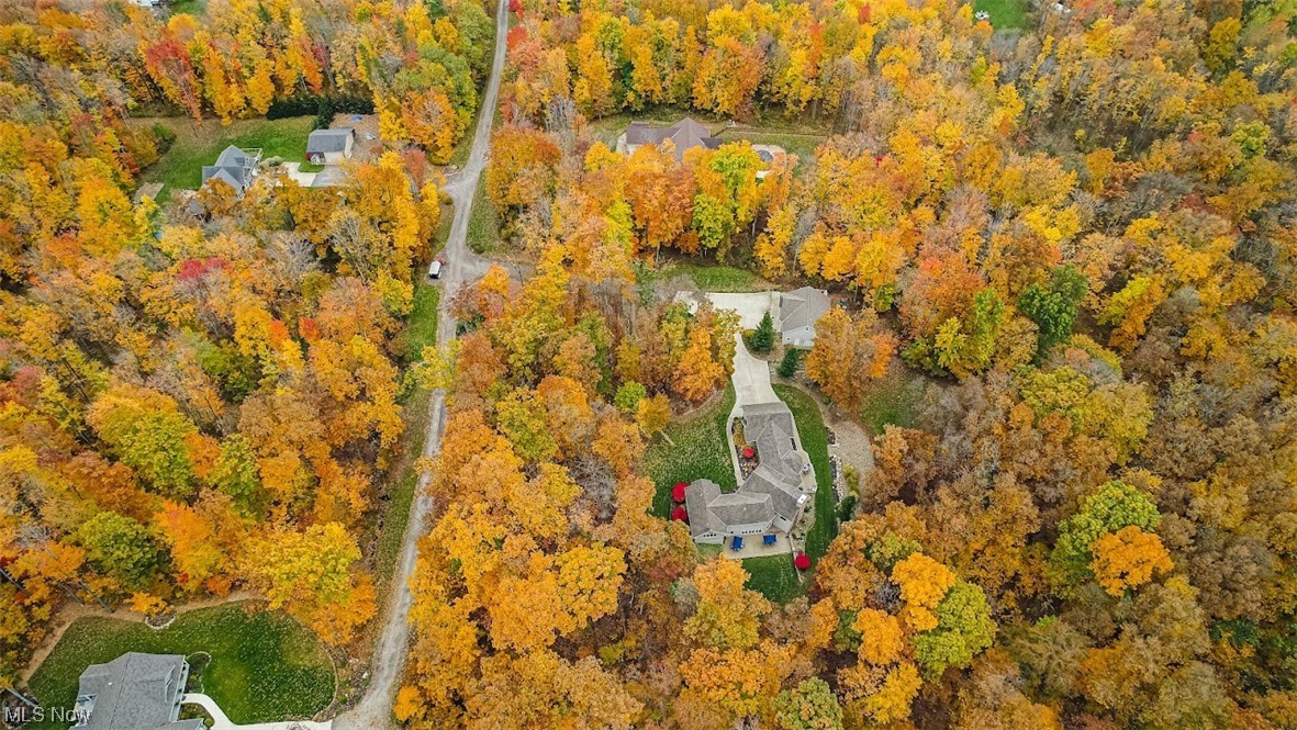 12151 Girdled Road Painesville, OH 44077 - Photo 33 of 35 View of drone / aerial view