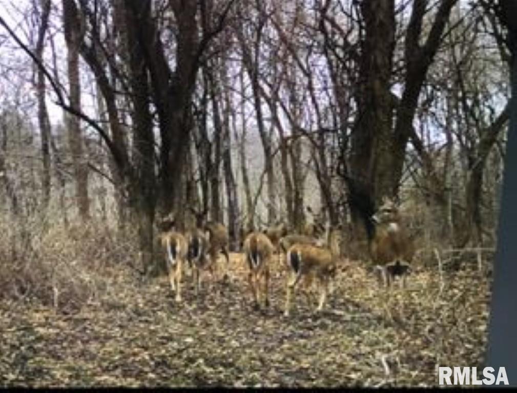 0 North Stone School Road Elmwood, IL 61529 - Photo 88 of 90