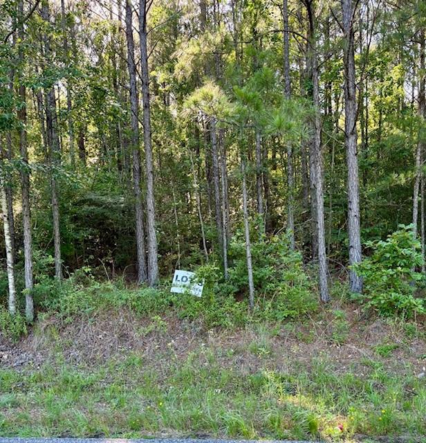 229 Wainwright Road Pineville, LA 71360 - Photo 2 of 2